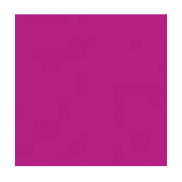 Stifte | Tombow | Tombow Dual Brush Stift - purple 665
